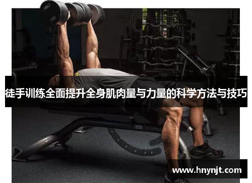 徒手训练全面提升全身肌肉量与力量的科学方法与技巧