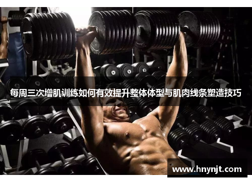 每周三次增肌训练如何有效提升整体体型与肌肉线条塑造技巧