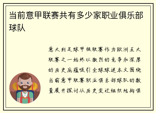 当前意甲联赛共有多少家职业俱乐部球队