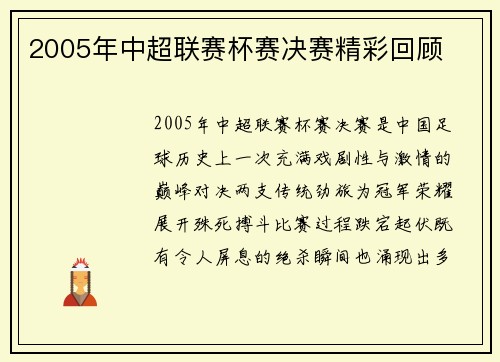 2005年中超联赛杯赛决赛精彩回顾