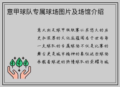 意甲球队专属球场图片及场馆介绍